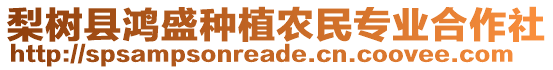 梨樹縣鴻盛種植農(nóng)民專業(yè)合作社