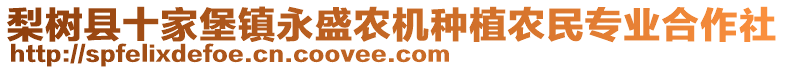 梨樹縣十家堡鎮(zhèn)永盛農(nóng)機(jī)種植農(nóng)民專業(yè)合作社