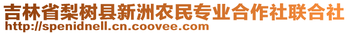 吉林省梨樹縣新洲農(nóng)民專業(yè)合作社聯(lián)合社