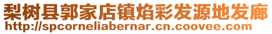 梨樹縣郭家店鎮(zhèn)焰彩發(fā)源地發(fā)廊