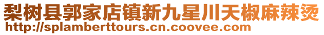 梨樹縣郭家店鎮(zhèn)新九星川天椒麻辣燙