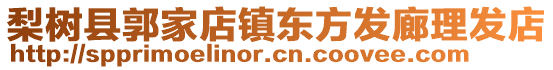 梨樹縣郭家店鎮(zhèn)東方發(fā)廊理發(fā)店