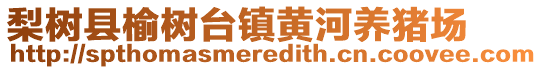 梨樹(shù)縣榆樹(shù)臺(tái)鎮(zhèn)黃河養(yǎng)豬場(chǎng)