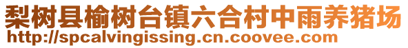 梨樹縣榆樹臺鎮(zhèn)六合村中雨養(yǎng)豬場