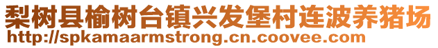 梨樹縣榆樹臺(tái)鎮(zhèn)興發(fā)堡村連波養(yǎng)豬場(chǎng)