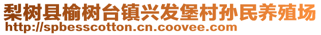 梨樹縣榆樹臺鎮(zhèn)興發(fā)堡村孫民養(yǎng)殖場