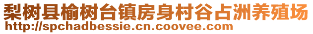 梨樹(shù)縣榆樹(shù)臺(tái)鎮(zhèn)房身村谷占洲養(yǎng)殖場(chǎng)