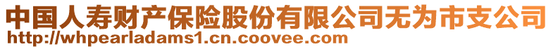 中國人壽財(cái)產(chǎn)保險(xiǎn)股份有限公司無為市支公司