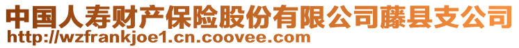 中國(guó)人壽財(cái)產(chǎn)保險(xiǎn)股份有限公司藤縣支公司