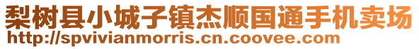 梨樹縣小城子鎮(zhèn)杰順國通手機賣場