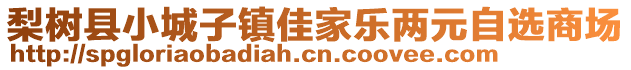 梨树县小城子镇佳家乐两元自选商场