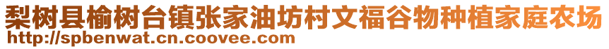 梨樹縣榆樹臺鎮張家油坊村文福谷物種植家庭農場