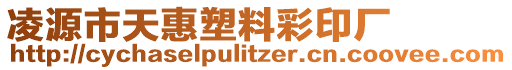 凌源市天惠塑料彩印廠