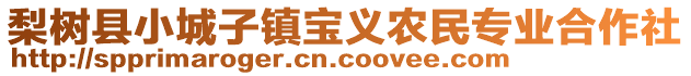 梨樹縣小城子鎮(zhèn)寶義農(nóng)民專業(yè)合作社