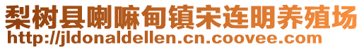 梨樹縣喇嘛甸鎮(zhèn)宋連明養(yǎng)殖場(chǎng)