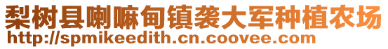 梨樹縣喇嘛甸鎮(zhèn)襲大軍種植農(nóng)場(chǎng)