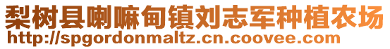 梨樹縣喇嘛甸鎮(zhèn)劉志軍種植農(nóng)場