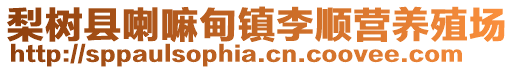 梨樹縣喇嘛甸鎮(zhèn)李順營養(yǎng)殖場(chǎng)