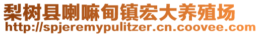 梨樹縣喇嘛甸鎮(zhèn)宏大養(yǎng)殖場(chǎng)