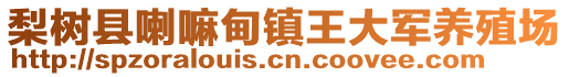 梨樹(shù)縣喇嘛甸鎮(zhèn)王大軍養(yǎng)殖場(chǎng)