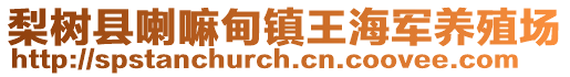 梨树县喇嘛甸镇王海军养殖场