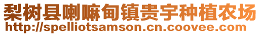 梨樹縣喇嘛甸鎮貴宇種植農場