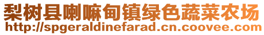 梨树县喇嘛甸镇绿色蔬菜农场