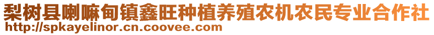 梨樹縣喇嘛甸鎮(zhèn)鑫旺種植養(yǎng)殖農(nóng)機農(nóng)民專業(yè)合作社