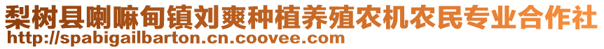 梨樹縣喇嘛甸鎮(zhèn)劉爽種植養(yǎng)殖農(nóng)機農(nóng)民專業(yè)合作社