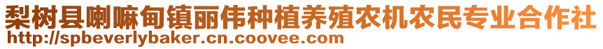 梨樹縣喇嘛甸鎮(zhèn)麗偉種植養(yǎng)殖農(nóng)機(jī)農(nóng)民專業(yè)合作社