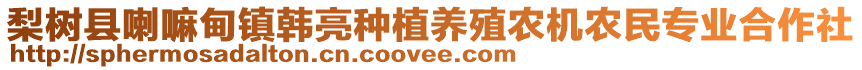 梨樹縣喇嘛甸鎮(zhèn)韓亮種植養(yǎng)殖農(nóng)機(jī)農(nóng)民專業(yè)合作社