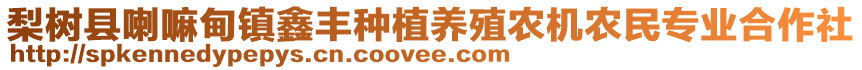 梨樹縣喇嘛甸鎮(zhèn)鑫豐種植養(yǎng)殖農(nóng)機(jī)農(nóng)民專業(yè)合作社