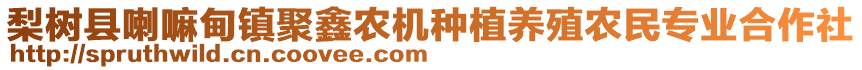 梨樹縣喇嘛甸鎮(zhèn)聚鑫農(nóng)機(jī)種植養(yǎng)殖農(nóng)民專業(yè)合作社