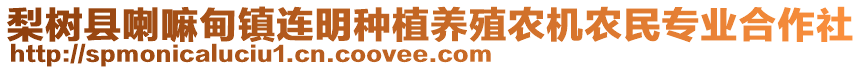 梨樹縣喇嘛甸鎮(zhèn)連明種植養(yǎng)殖農(nóng)機(jī)農(nóng)民專業(yè)合作社