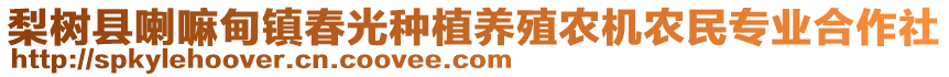 梨樹縣喇嘛甸鎮(zhèn)春光種植養(yǎng)殖農(nóng)機農(nóng)民專業(yè)合作社