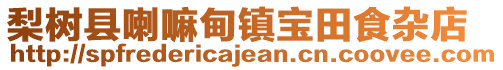 梨樹縣喇嘛甸鎮(zhèn)寶田食雜店