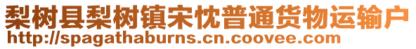 梨樹縣梨樹鎮(zhèn)宋忱普通貨物運(yùn)輸戶