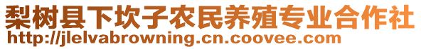 梨樹縣下坎子農(nóng)民養(yǎng)殖專業(yè)合作社