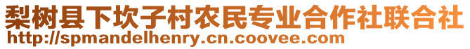 梨樹縣下坎子村農(nóng)民專業(yè)合作社聯(lián)合社