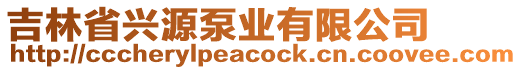 吉林省興源泵業(yè)有限公司