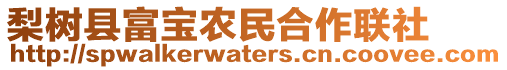 梨樹縣富寶農民合作聯社