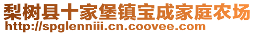 梨樹縣十家堡鎮(zhèn)寶成家庭農(nóng)場