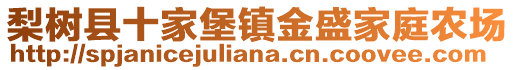 梨樹縣十家堡鎮(zhèn)金盛家庭農(nóng)場