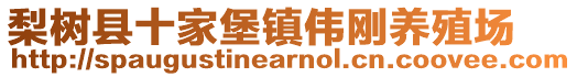 梨樹(shù)縣十家堡鎮(zhèn)偉剛養(yǎng)殖場(chǎng)