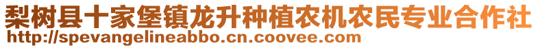 梨樹(shù)縣十家堡鎮(zhèn)龍升種植農(nóng)機(jī)農(nóng)民專業(yè)合作社