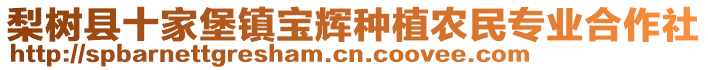 梨樹縣十家堡鎮(zhèn)寶輝種植農(nóng)民專業(yè)合作社