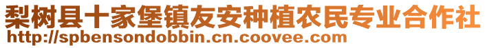 梨樹縣十家堡鎮(zhèn)友安種植農(nóng)民專業(yè)合作社