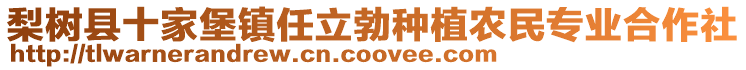 梨树县十家堡镇任立勃种植农民专业合作社