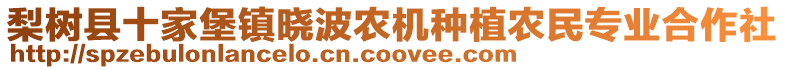 梨樹縣十家堡鎮(zhèn)曉波農(nóng)機(jī)種植農(nóng)民專業(yè)合作社