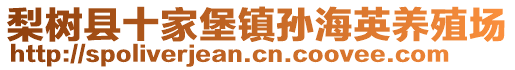 梨树县十家堡镇孙海英养殖场